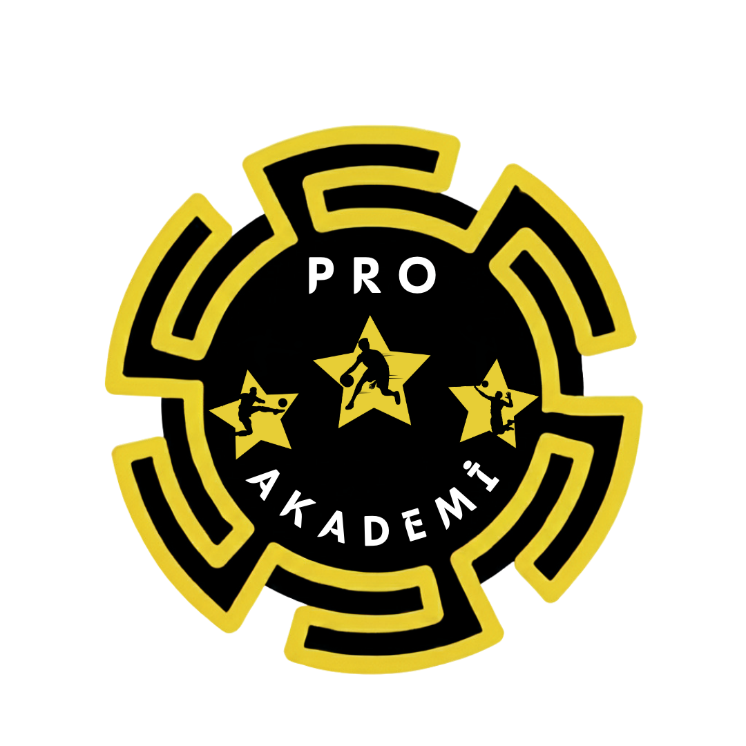 Pro Akademi Logo